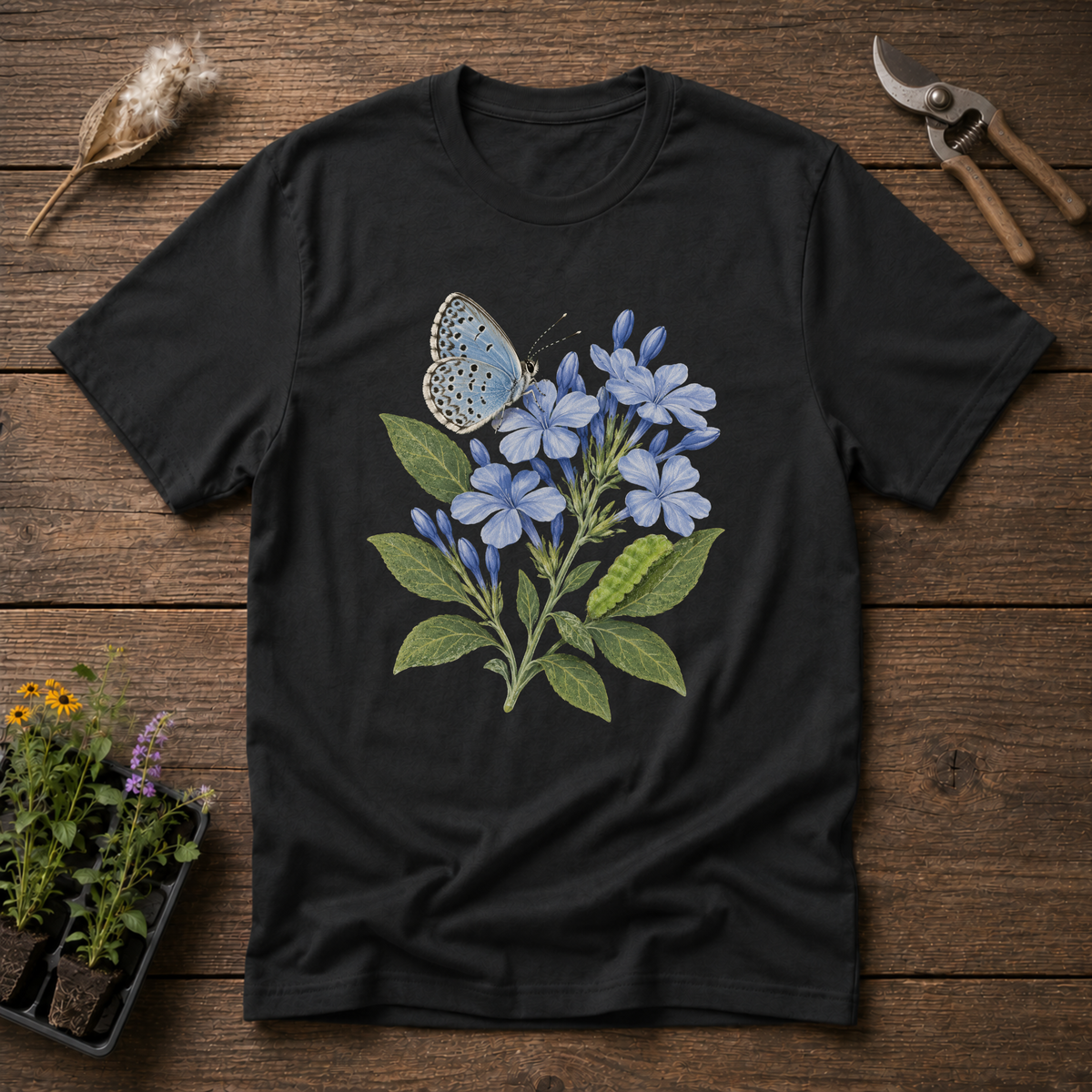 Cassius Blue Butterfly T-Shirt in Black