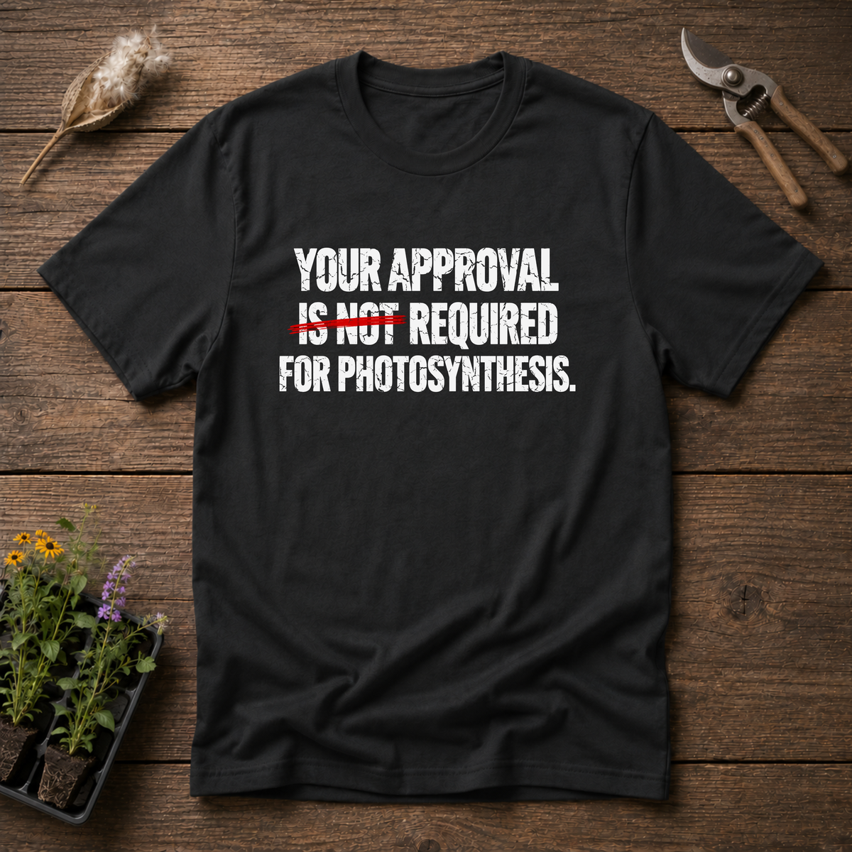 Not Required T-Shirt in Black