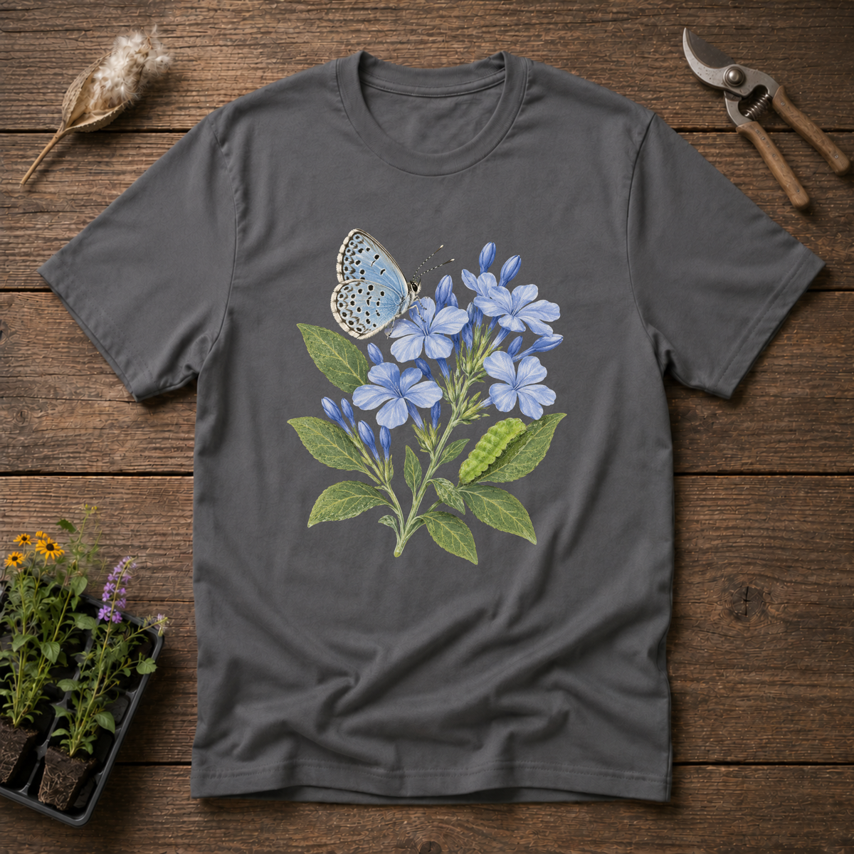 Cassius Blue Butterfly T-Shirt in Charcoal