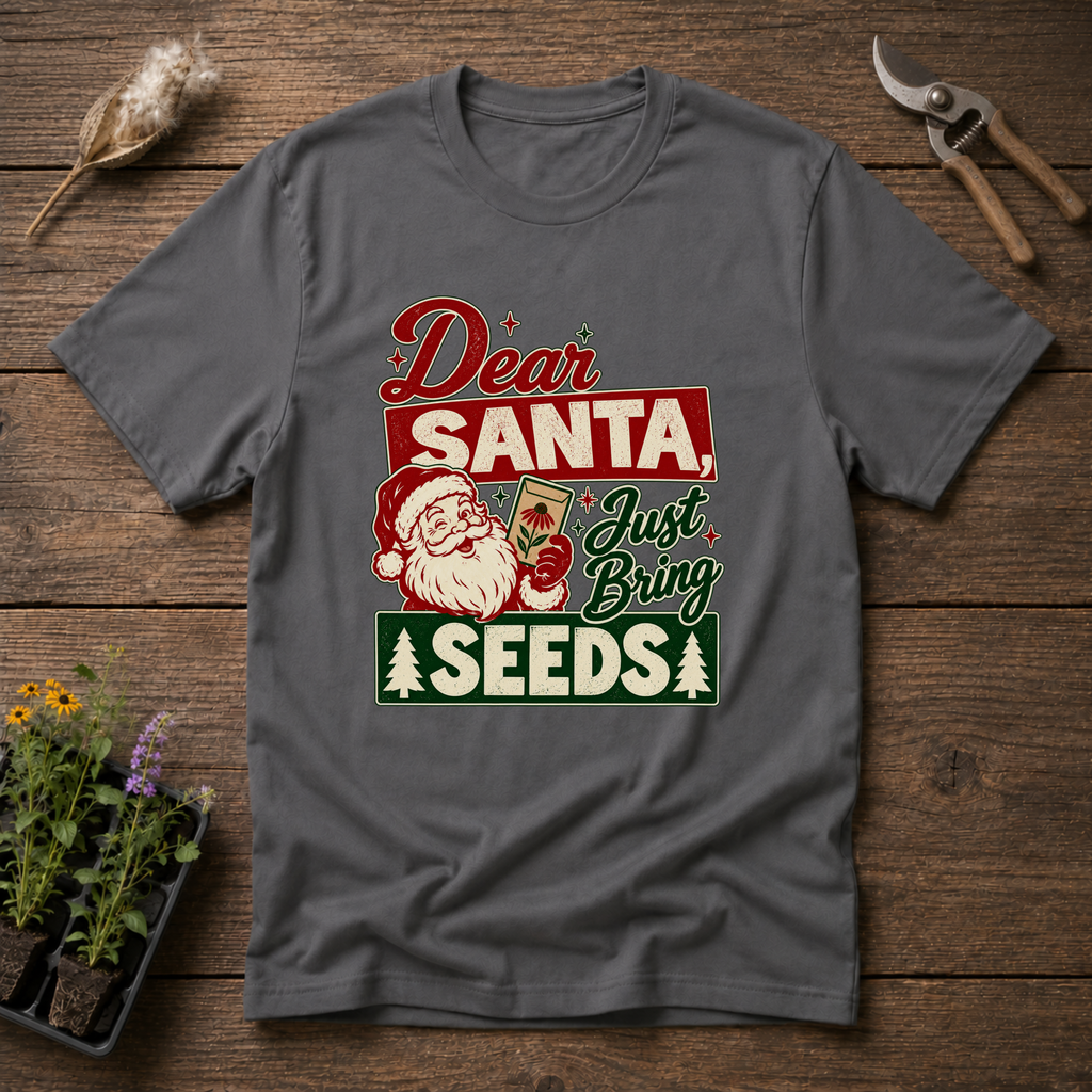 Dear Santa T-Shirt in Charcoal