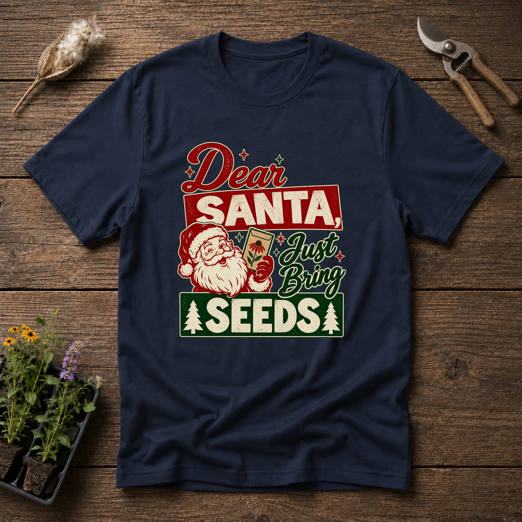 Dear Santa T-Shirt in Navy
